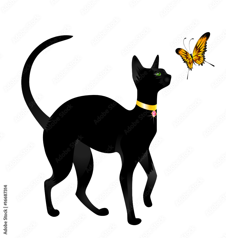 Beautiful black cat on a white background with the butterfly