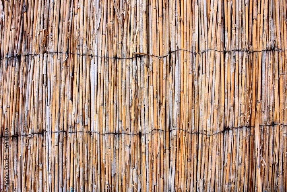 Closeup of a simple reed fence in a rural area Closeup of a simple reed fence in a rural area