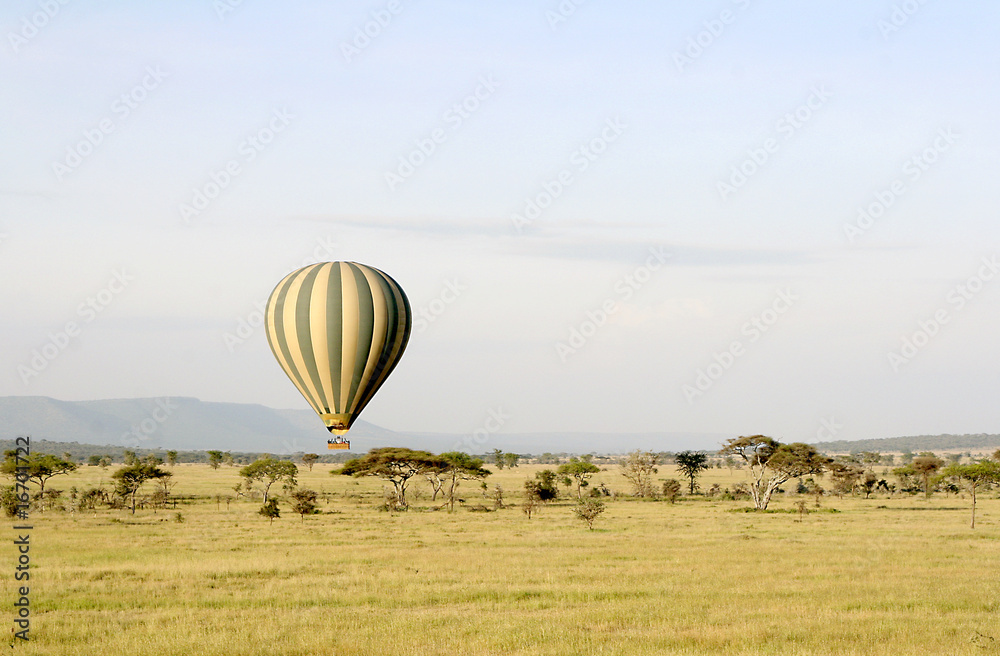 Obraz premium Hot air balloon