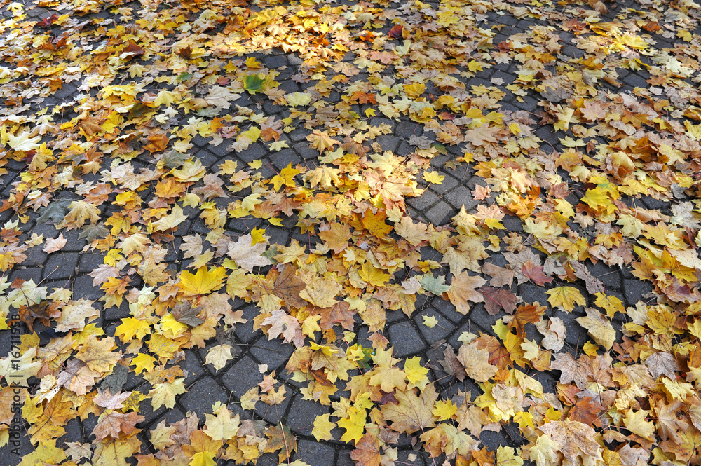 herbst herbst