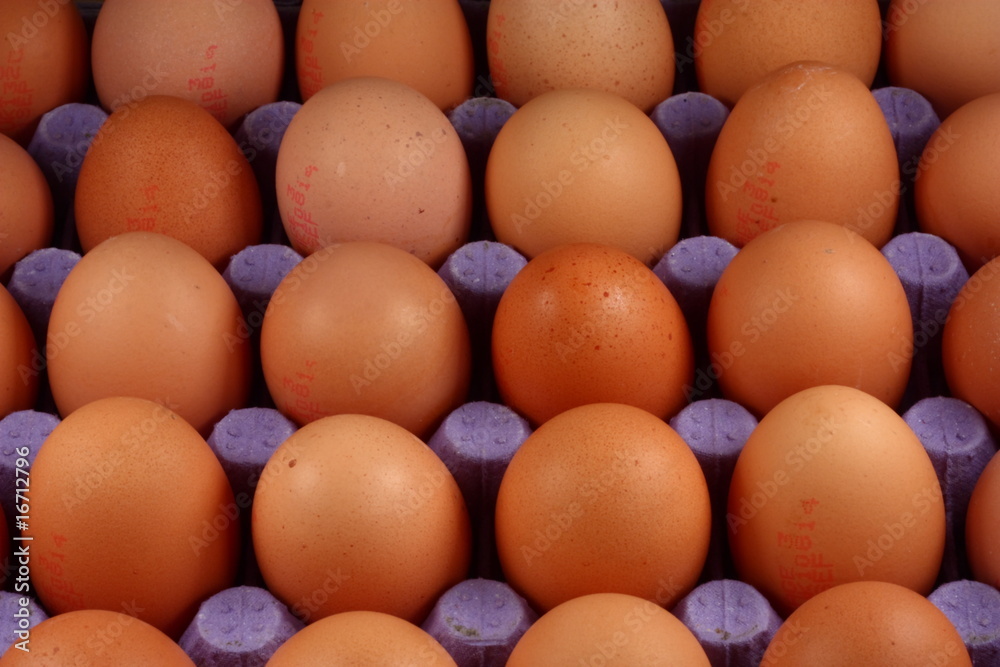 eggs in a box. eggs in a box.