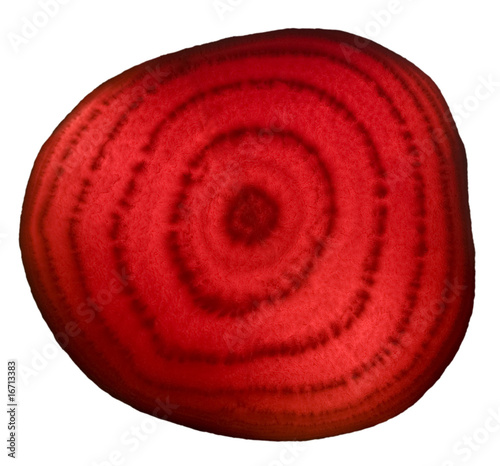 Beet