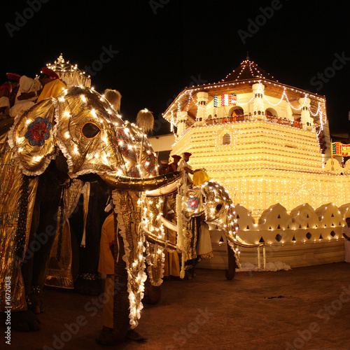 Esala perahera - Kandy photo