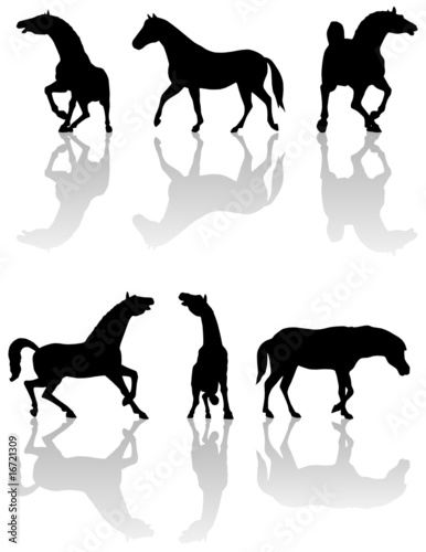 Illustration of horses silhouettes