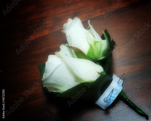 Cream rose buttonholes for the Groom