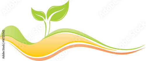 SOUS SOL ECOLOGIQUE