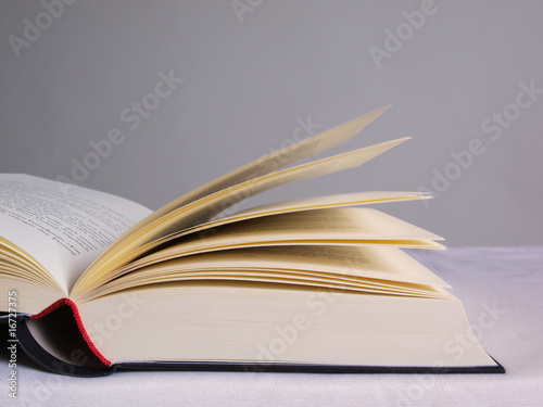 geöffnetes Buch