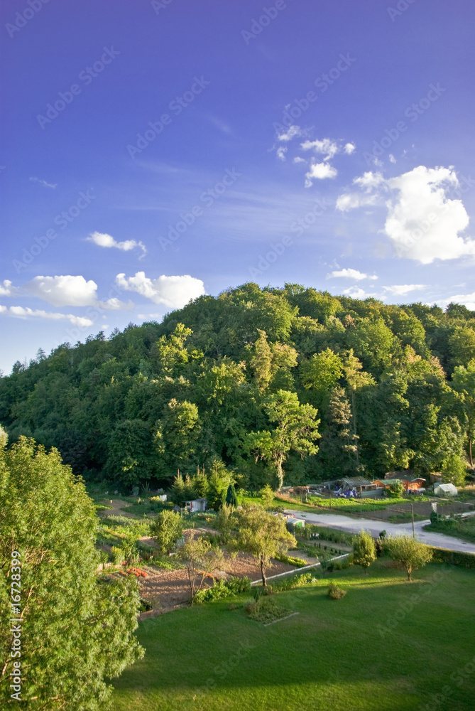 Obraz premium paysage vue d'un viaduc