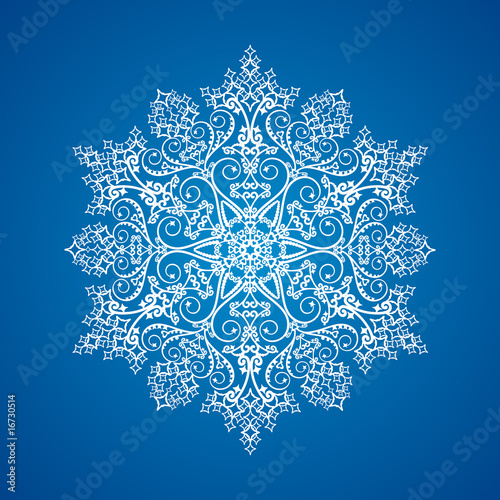 Single detailed snowflake