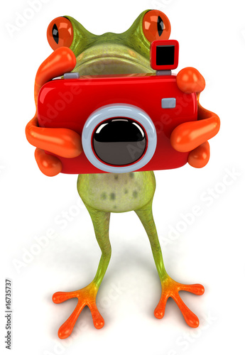 Grenouille avec un appareil photo photo