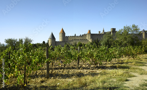 Carcassone is a fortified French town in  province of Languedoc