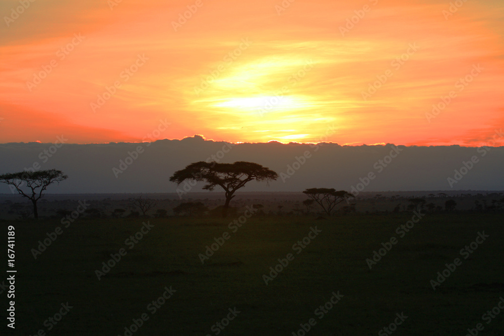 Tansania - Serengeti
