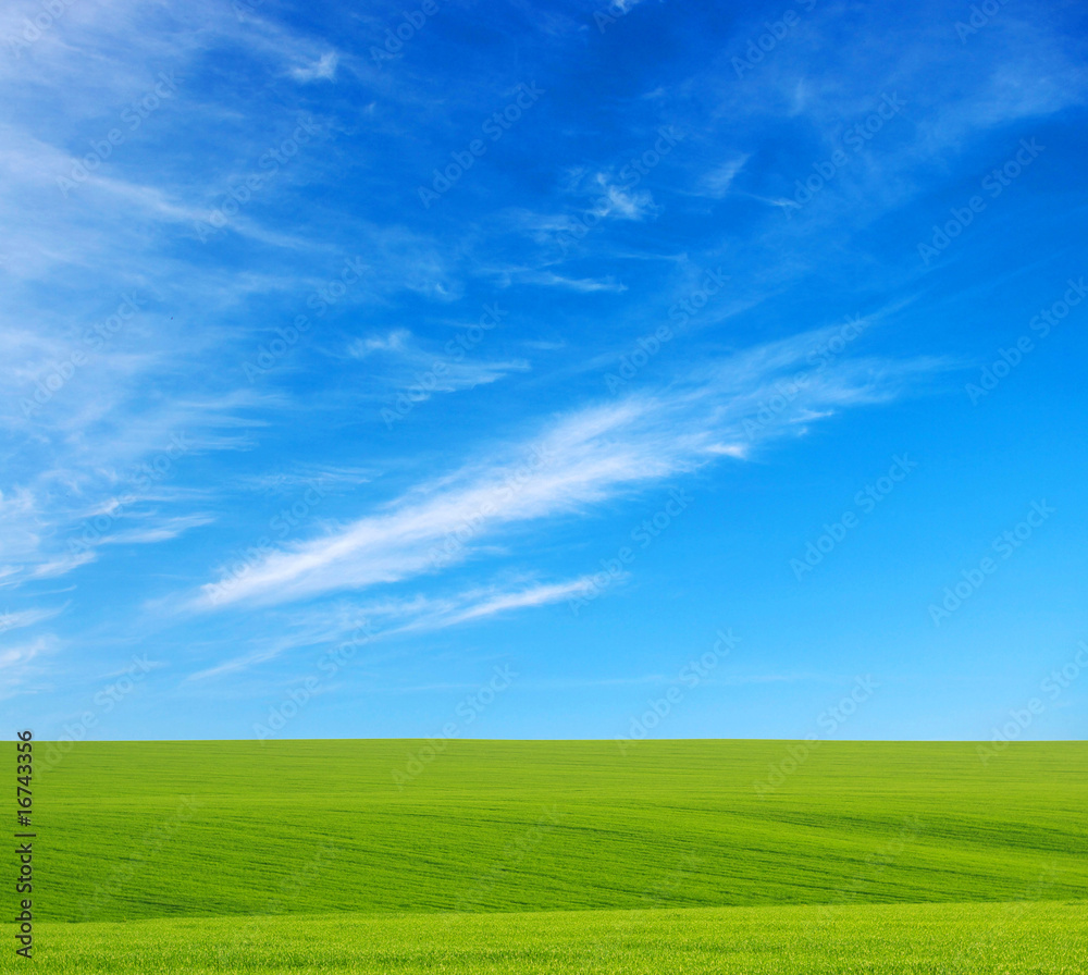 Fototapeta premium landscape