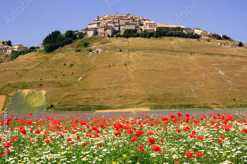 Castelluccio di Norcia. La bellissima Fioritura 2009