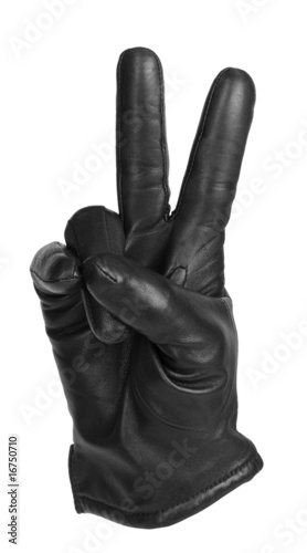 peace sign glove without hand