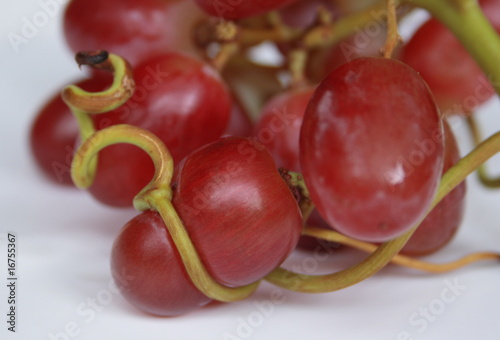 Canvas Print Squeezed Grape3