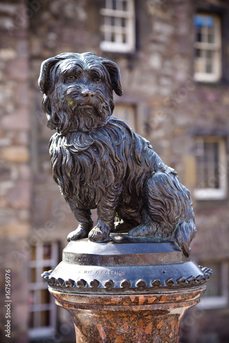 Greyfriars Bobby photo