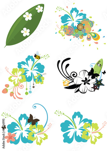Six design elements with Hawaiian flowers on summer theme