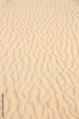 waves of sand