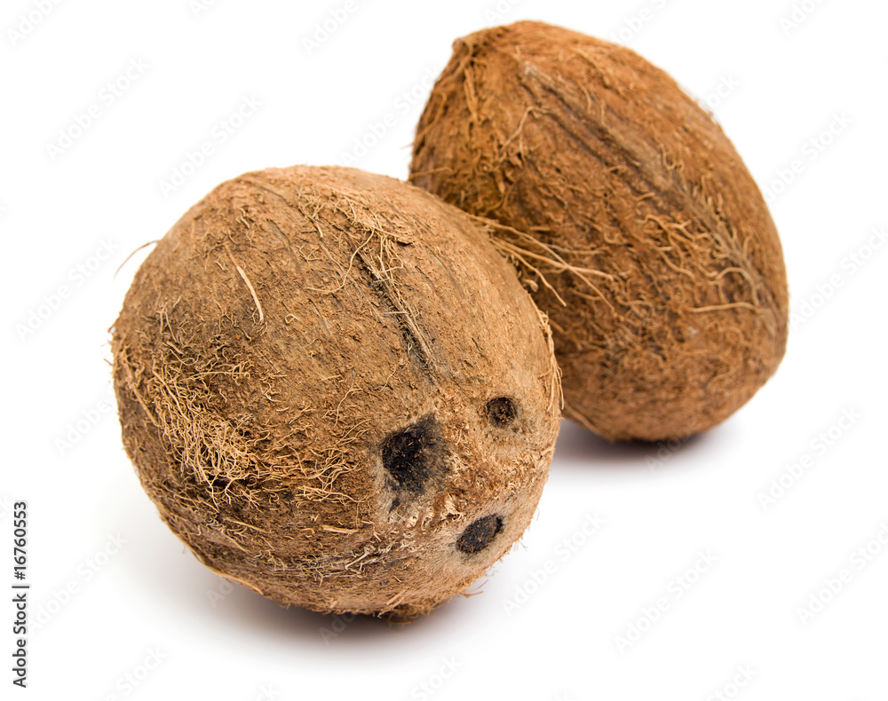 Fresh tropical coconut isolated on white background Fresh tropical coconut isolated on white background