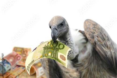 Fototapete Geld 214