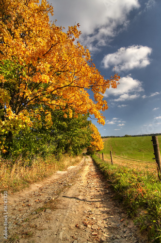 country road and autumn rural landscape