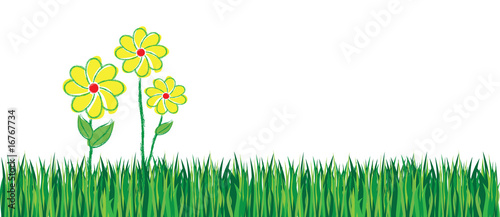 flowers on the grass