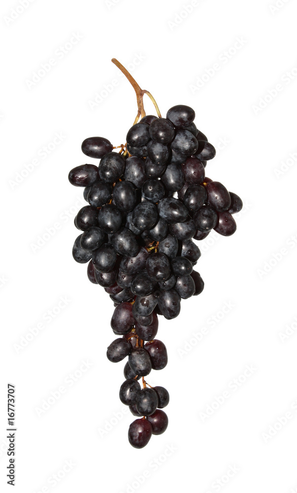 small grapes isolated.