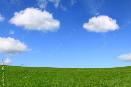 grüne wiese und blauer himmel