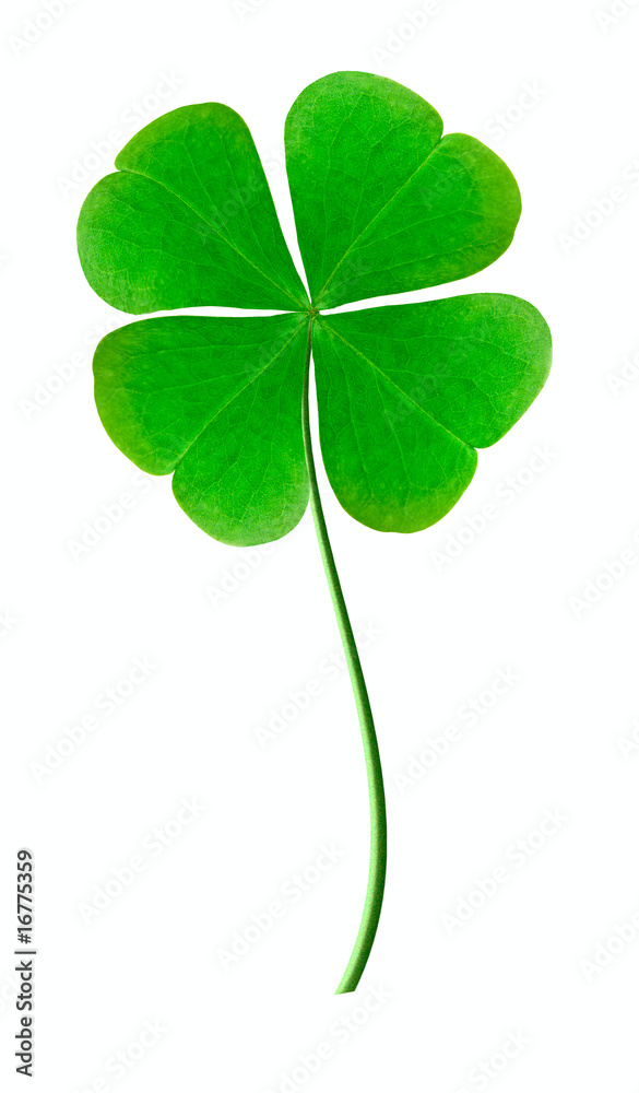 good luck good luck