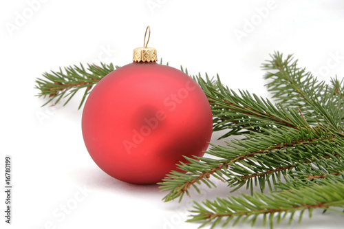 Red christmas ball with the twig of the spruce