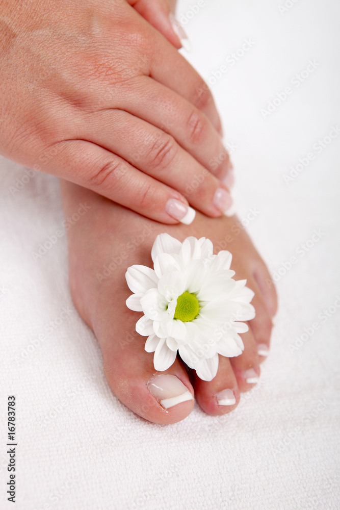 Spa and wellness theme with beautiful and neat feet Spa and wellness theme with beautiful and neat feet