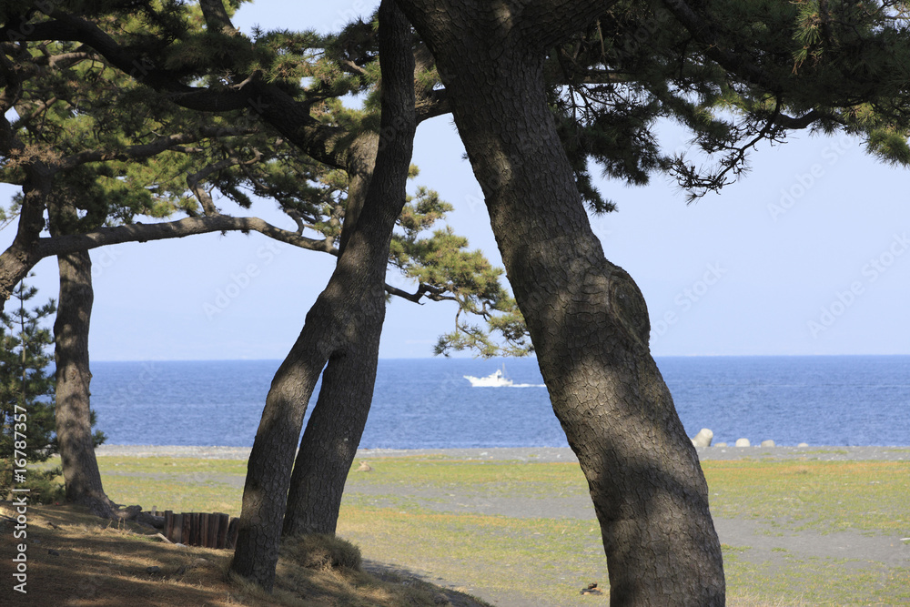 Fototapeta premium 砂浜