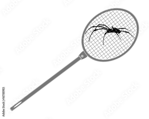 Fliegenklatsche über Spinne