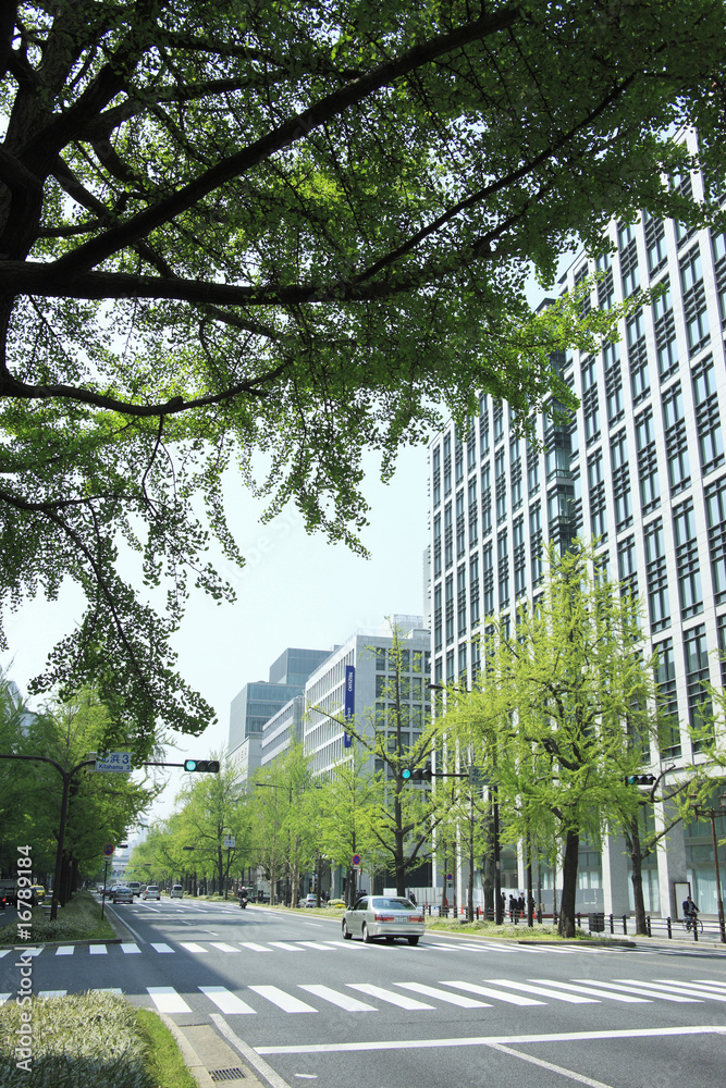新緑の御堂筋 新緑の御堂筋