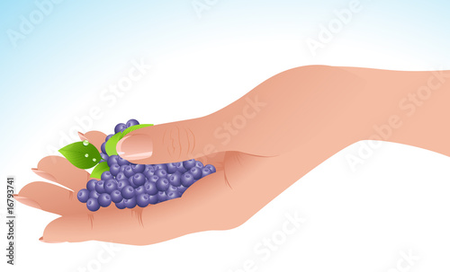 Berry in the hand