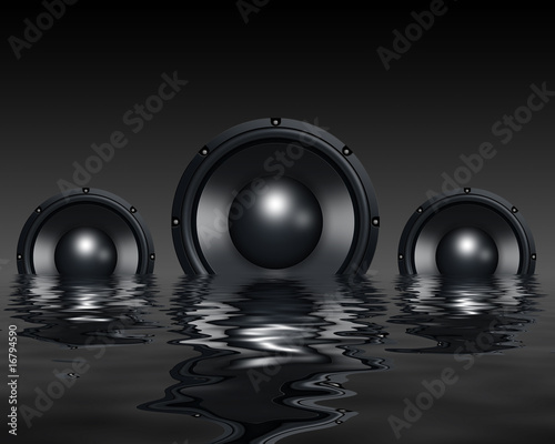 Tableau sur toile Speakers in water