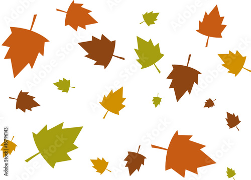 feuilles