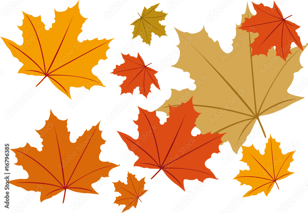 AUTOMNE - feuilles  - background - ambiance - fond