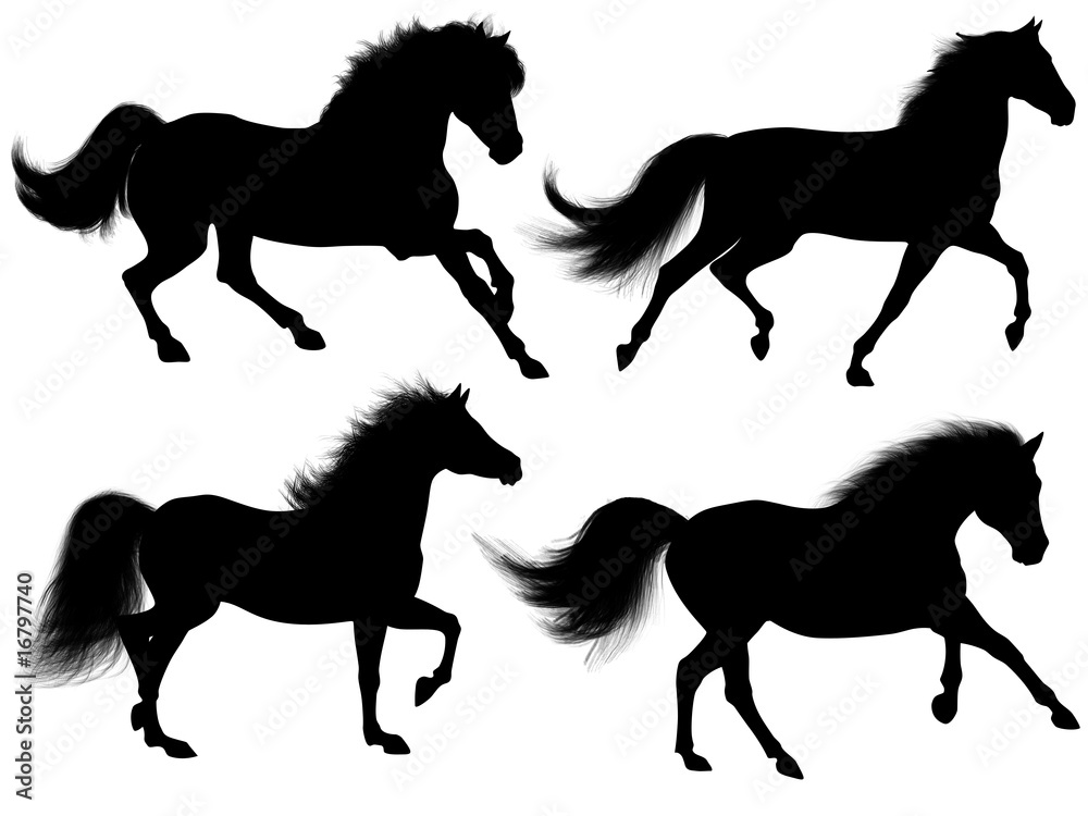 Fototapeta premium Cavallo selvaggio Sagome-Wild Horse shapes-Cheval Silhouette-3