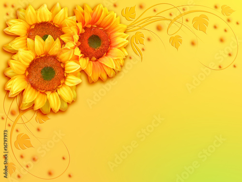 Girasole Sfondo-Sunflower Background-Tournesol Arrière Plan photo