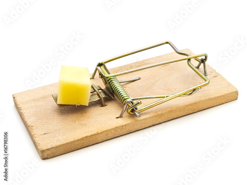 mouse trap