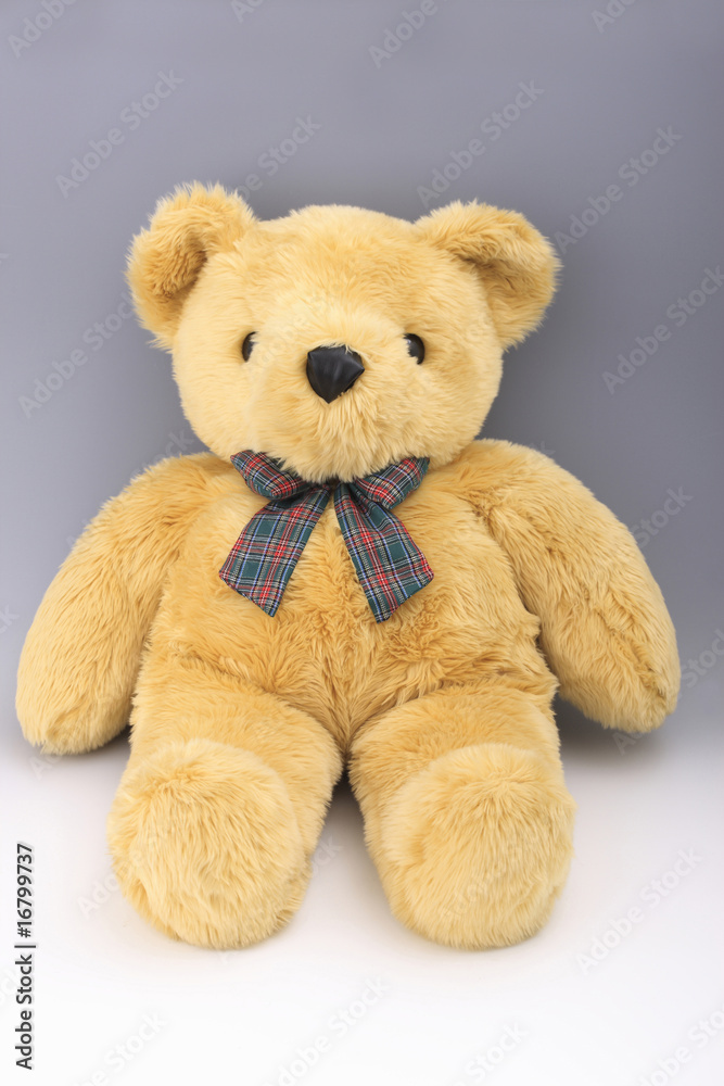 Obraz premium クマのぬいぐるみ