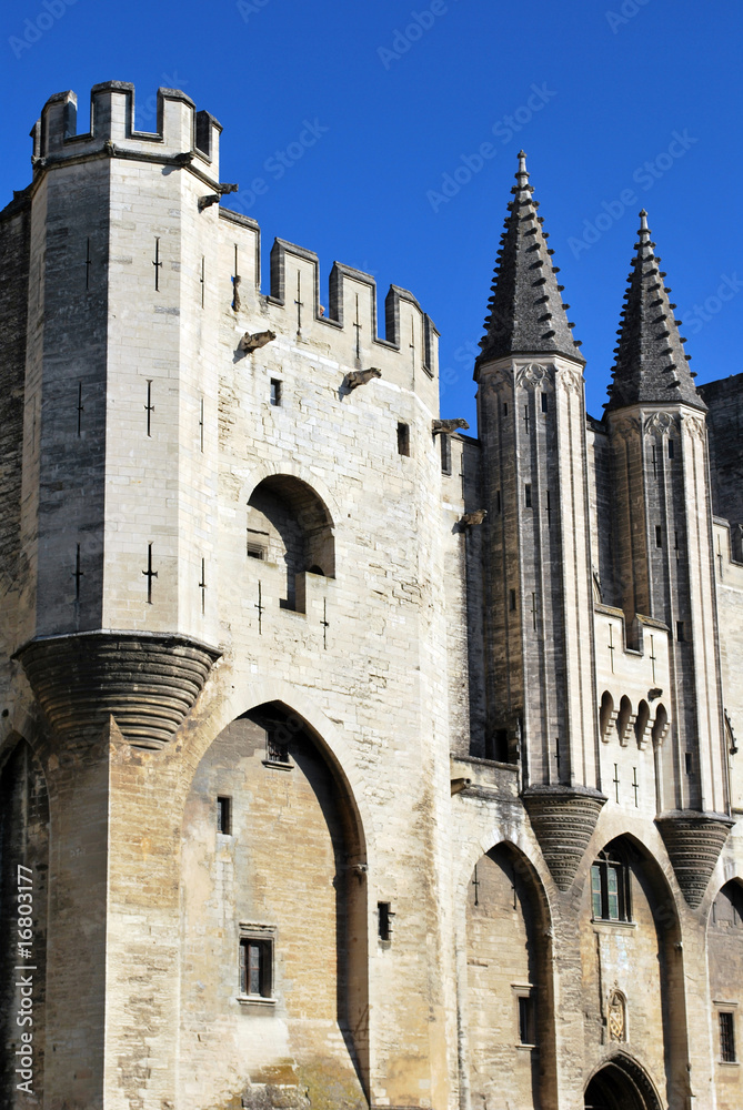 Entrée du Palais des Papes d'Avignon