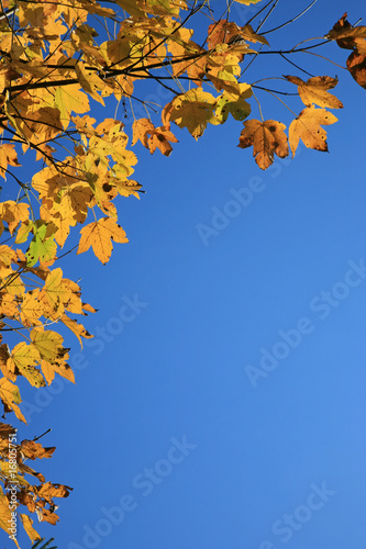 Autumn colors