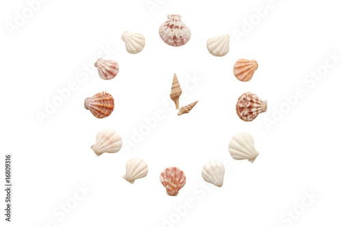 clock from cockleshells isolated on the white background