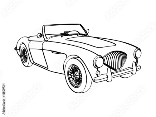 Austin Healy 3000