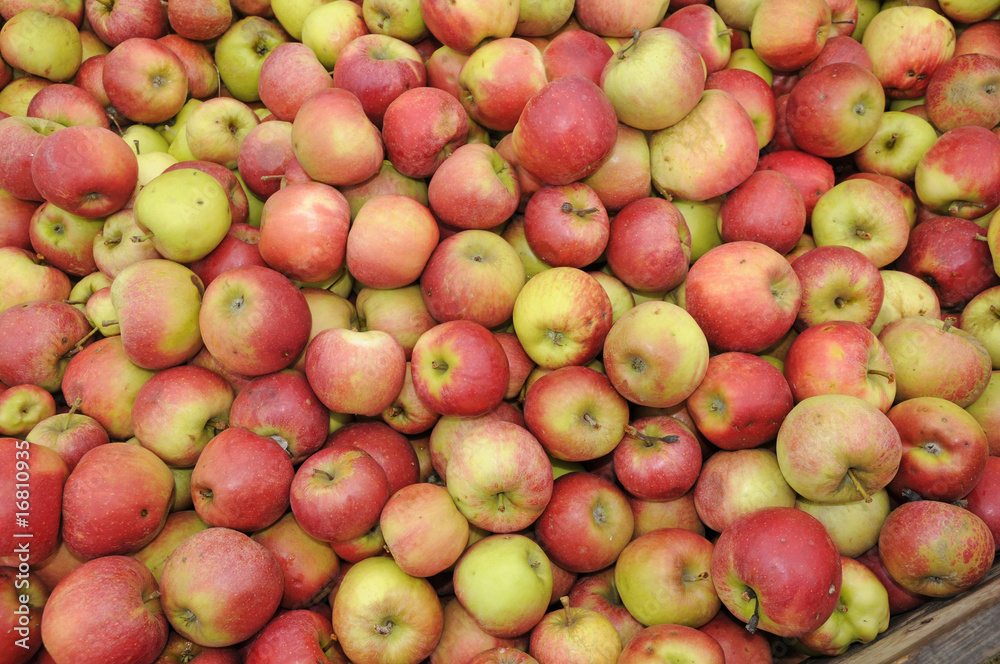 Äpfel Äpfel