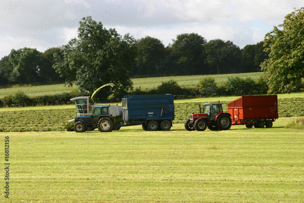 Obraz premium Silaging