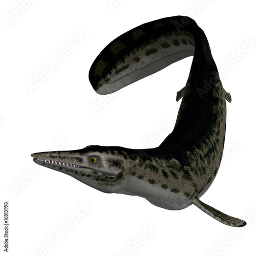 Dinosaur Mosasaur photo